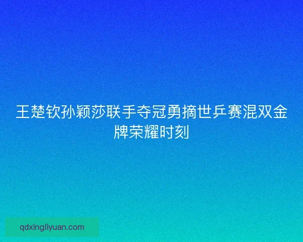 王楚钦孙颖莎联手夺冠勇摘世乒赛混双金牌荣耀时刻 王楚钦孙颖莎联手夺冠勇摘世乒赛混双金牌荣耀时刻