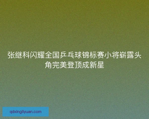 张继科闪耀全国乒乓球锦标赛小将崭露头角完美登顶成新星 张继科闪耀全国乒乓球锦标赛小将崭露头角完美登顶成新星