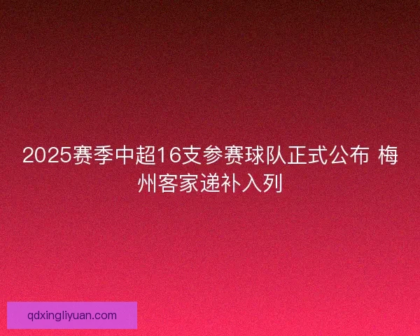 2025赛季中超16支参赛球队正式公布 梅州客家递补入列