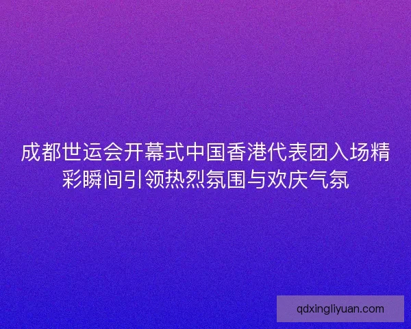 成都世运会开幕式中国香港代表团入场精彩瞬间引领热烈氛围与欢庆气氛