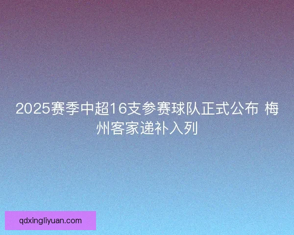 2025赛季中超16支参赛球队正式公布 梅州客家递补入列