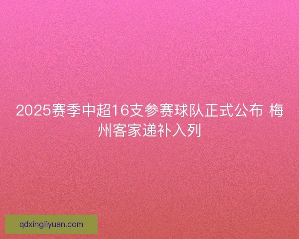 2025赛季中超16支参赛球队正式公布 梅州客家递补入列 2025赛季中超16支参赛球队正式公布 梅州客家递补入列