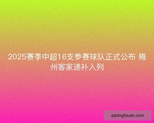 2025赛季中超16支参赛球队正式公布 梅州客家递补入列